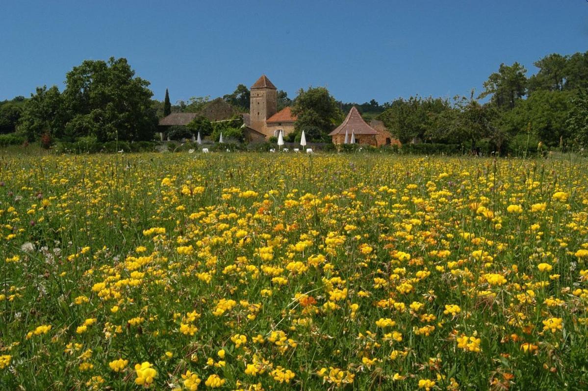 Gites Du Boussagou Marminiac Exterior photo